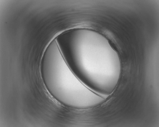 X0000081281284200701110924