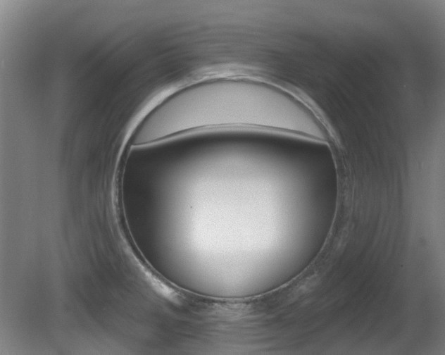 X0000081281285200701110924