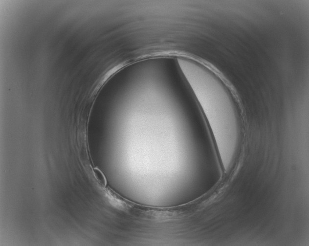 X0000081281289200701110924