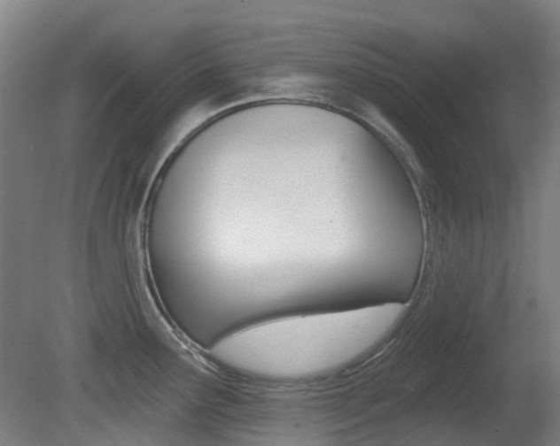 X0000081281291200701110924