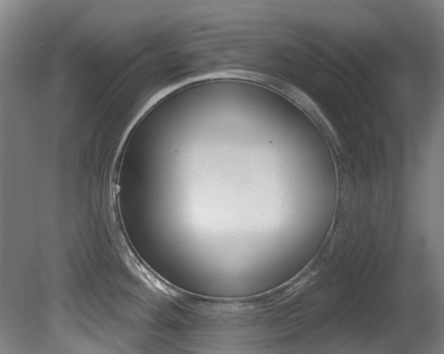 X0000081281292200701110924