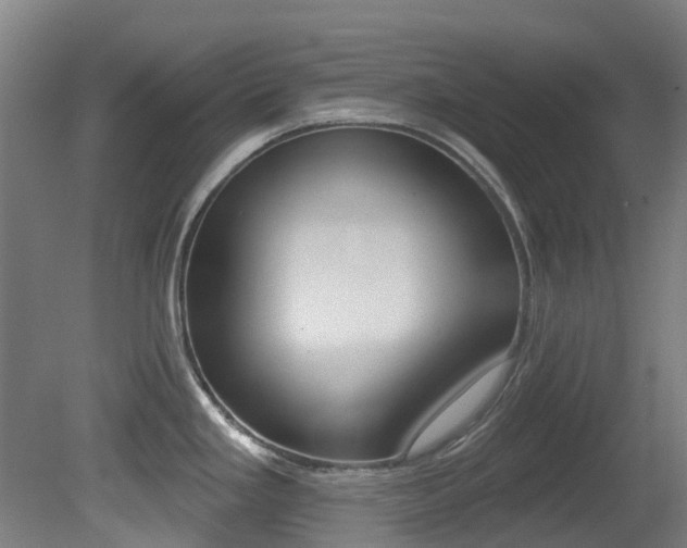 X0000081281293200701110924