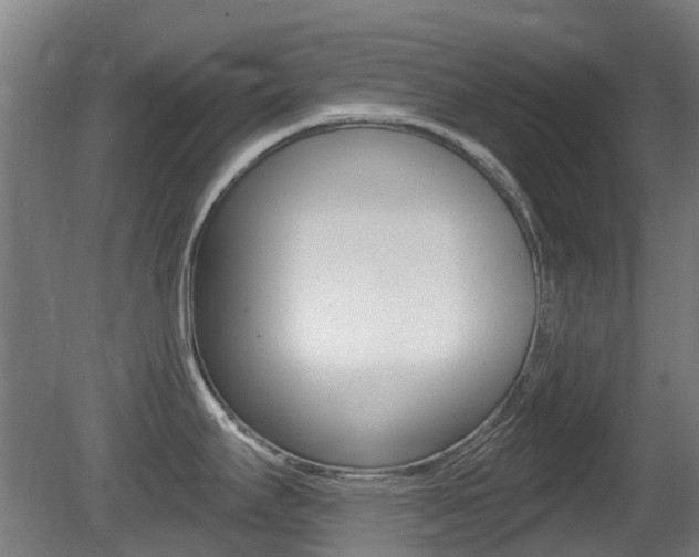 X0000081281295200701110924