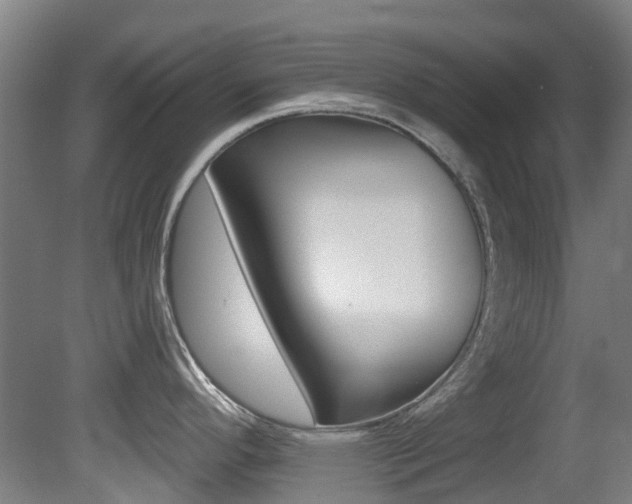 X0000081281296200701110924