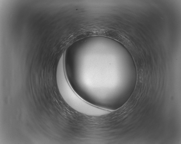X0000081281298200701110923