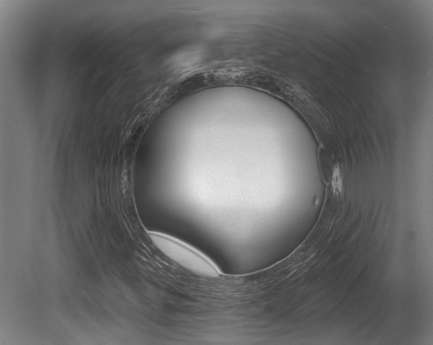 X0000081281299200701110923