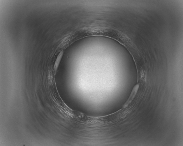 X0000081281300200701110923