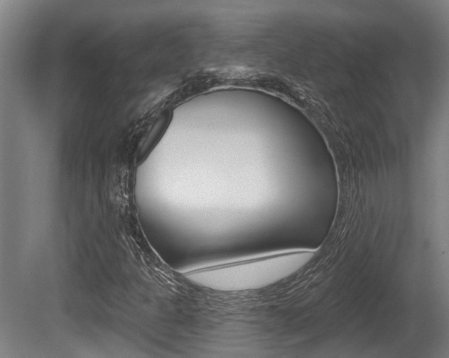 X0000081281301200701110923