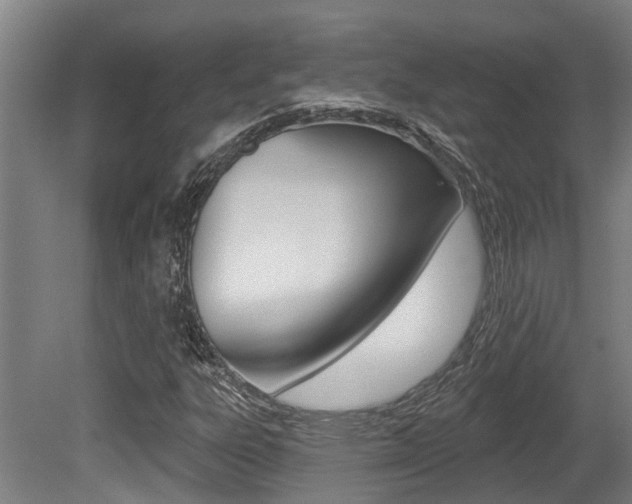 X0000081281303200701110923