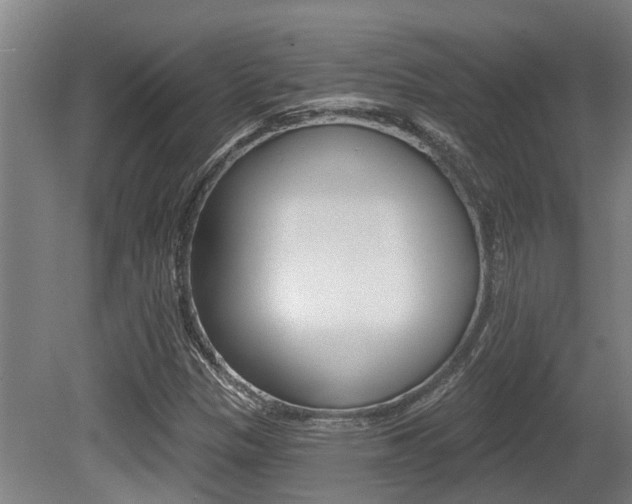 X0000081281305200701110923