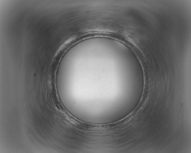 X0000081281307200701110923