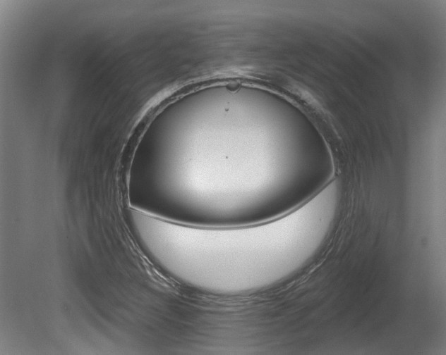 X0000081281308200701110923