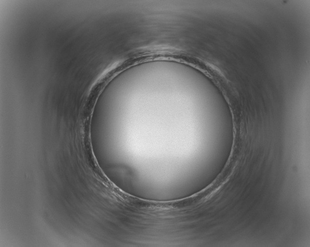 X0000081281309200701110923