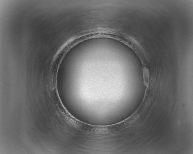 X0000081281310200701110923