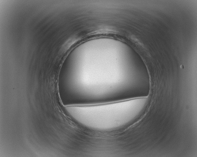 X0000081281313200701110923