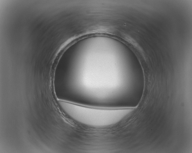X0000081281316200701110923