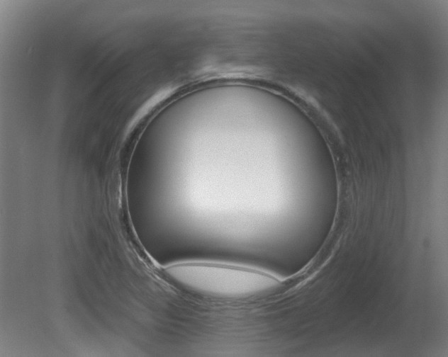 X0000081281317200701110923