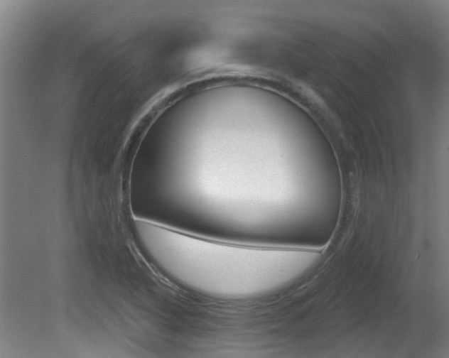 X0000081281318200701110923