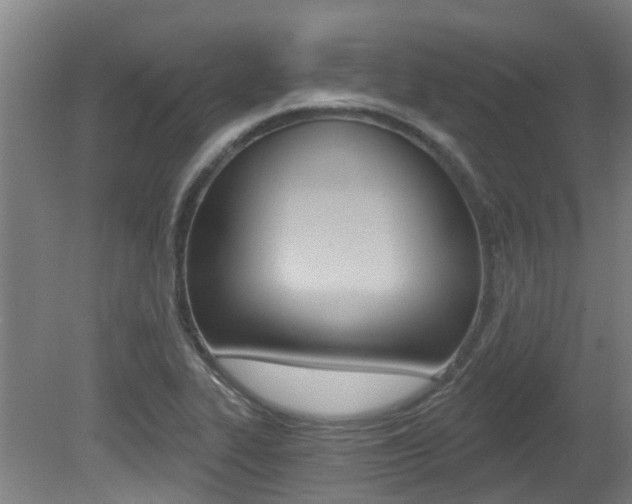 X0000081281319200701110924
