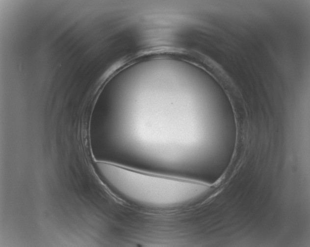 X0000081281321200701110924