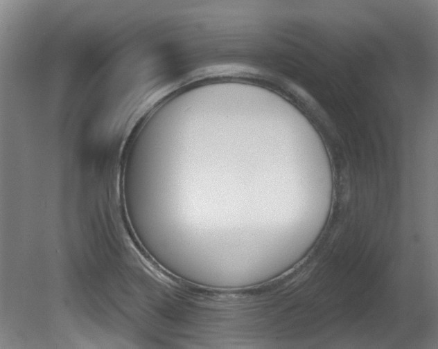 X0000081281322200701110924