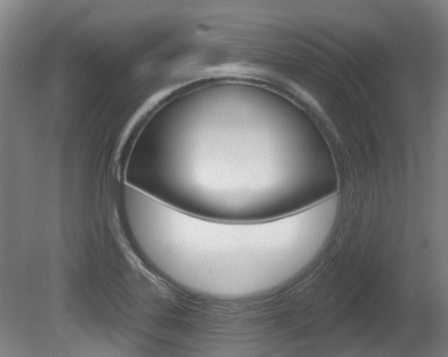 X0000081281323200701110924