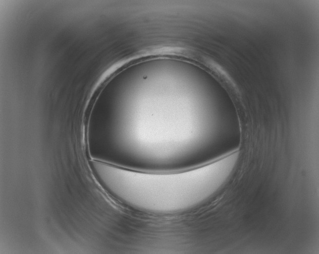 X0000081281324200701110924