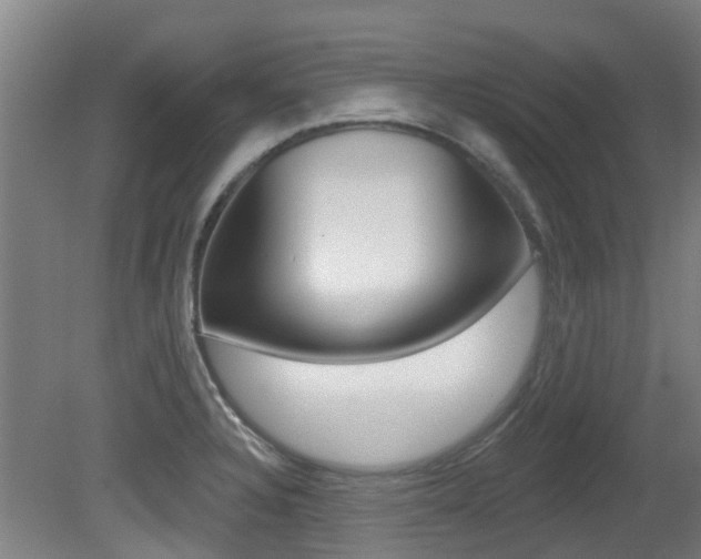 X0000081281328200701110924