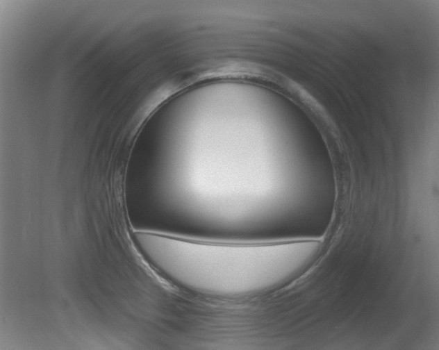 X0000081281329200701110924