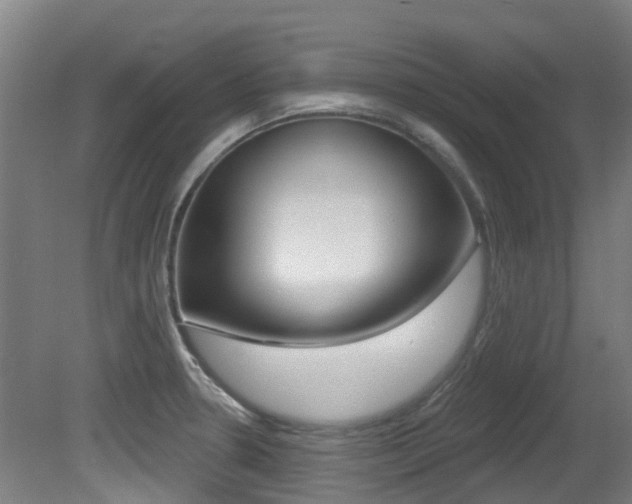 X0000081281330200701110924