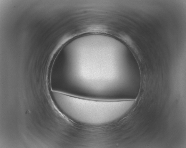 X0000081281331200701110924