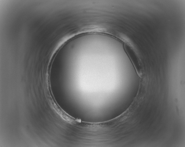X0000081281332200701110924