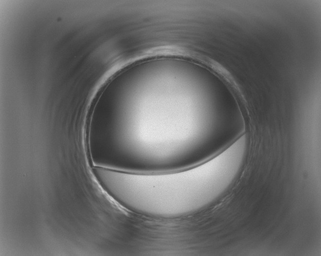 X0000081281334200701110924