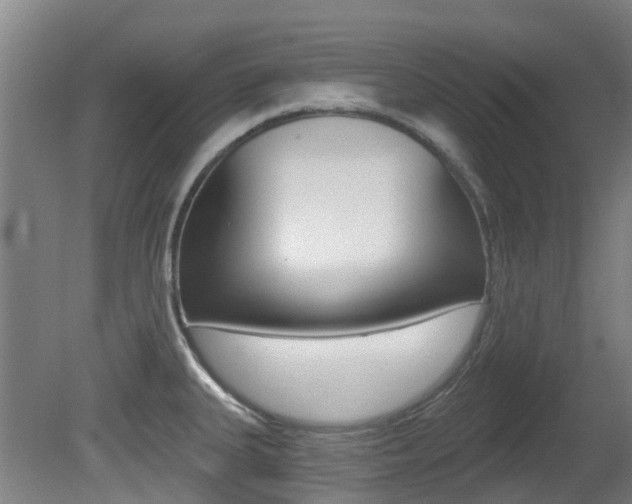 X0000081281335200701110924