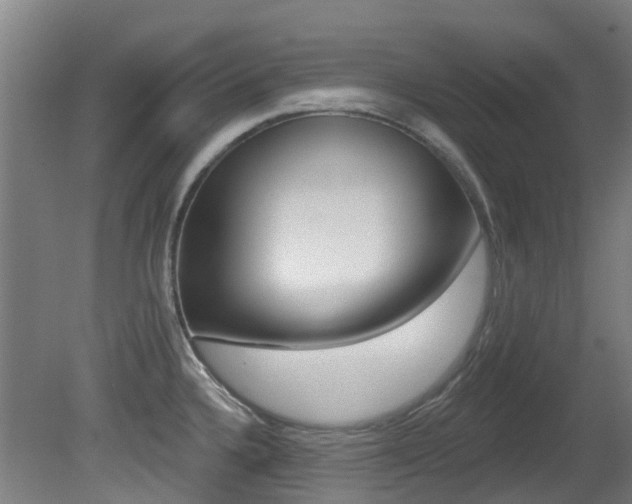 X0000081281336200701110924