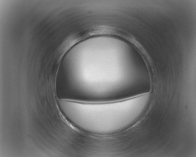 X0000081281337200701110924