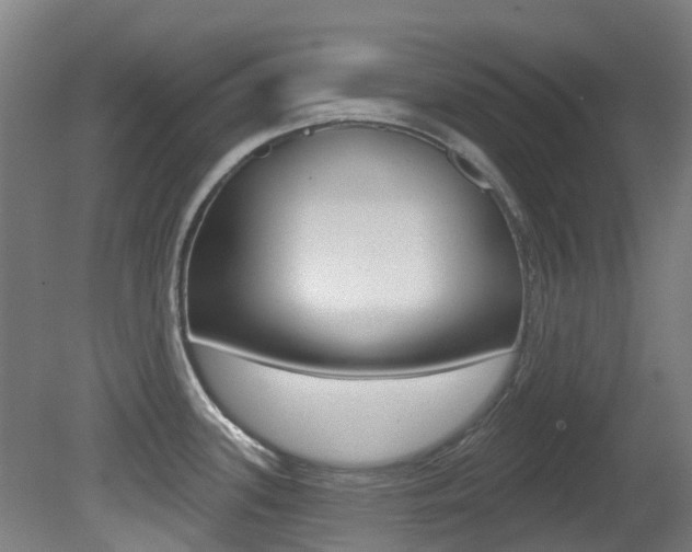 X0000081281339200701110924