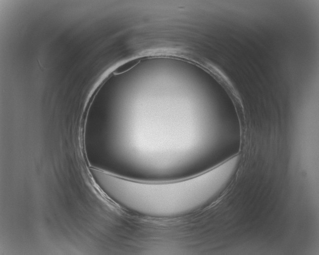 X0000081281340200701110924