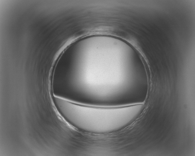 X0000081281341200701110924