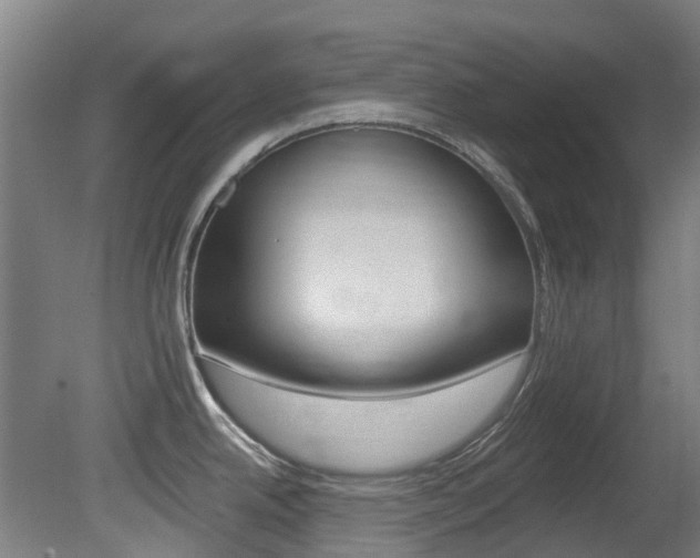 X0000081281342200701110924
