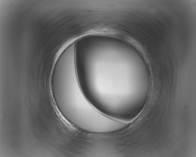 X0000081281344200701110924