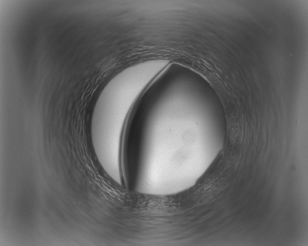 X0000081281345200701110923