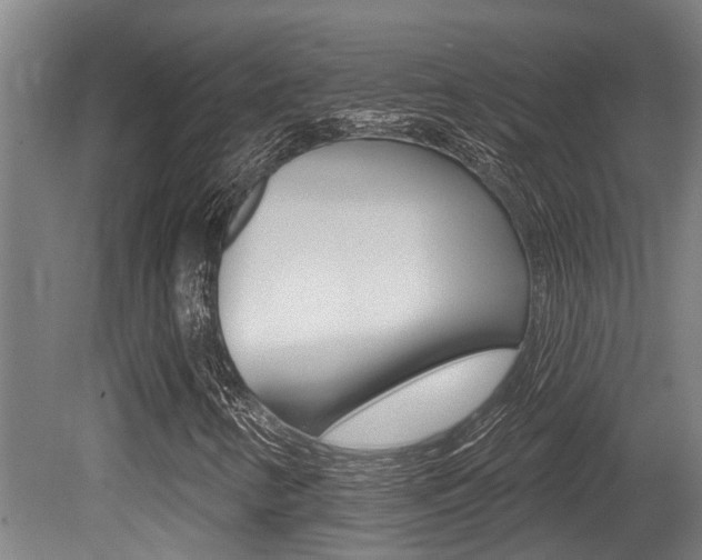 X0000081281346200701110923