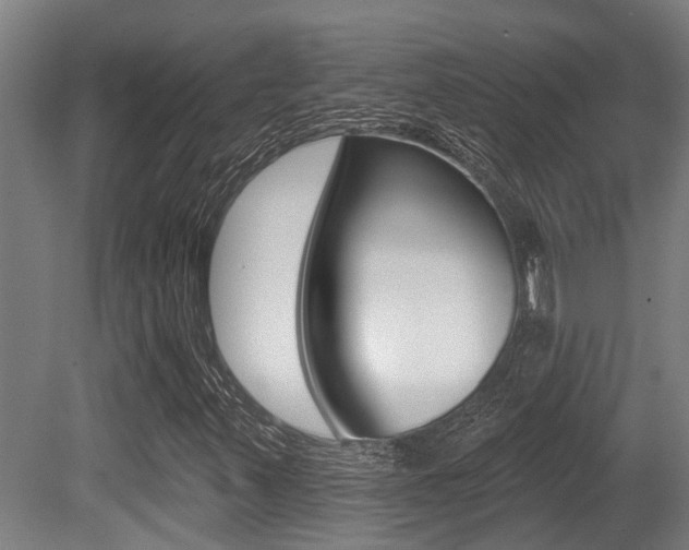 X0000081281347200701110923