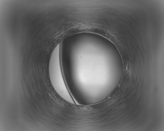 X0000081281348200701110923
