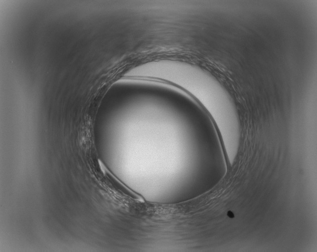 X0000081281349200701110923