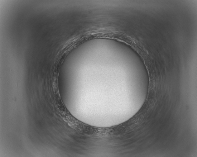 X0000081281350200701110923