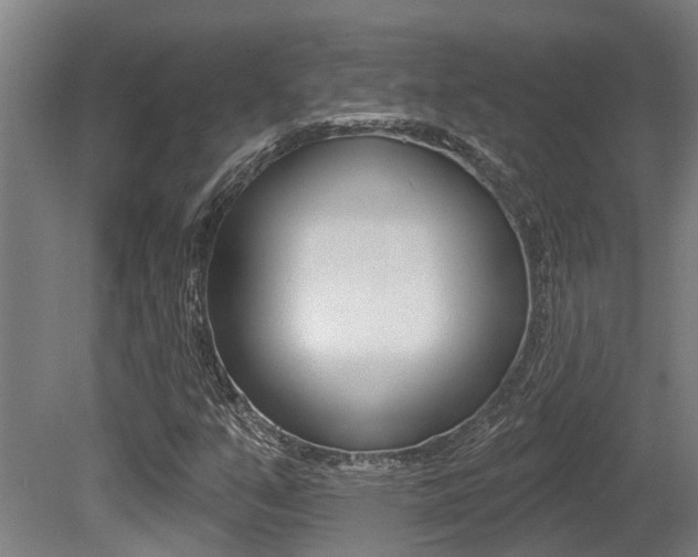 X0000081281351200701110923