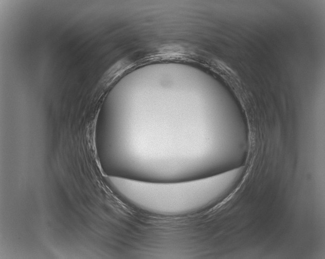 X0000081281353200701110923