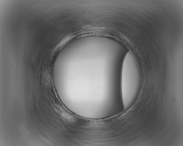 X0000081281354200701110923